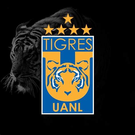 Últimas noticias del tigres uanl en goal.com, incluyendo fichajes, rumores, resultados, marcadores y entrevistas con los jugadores. Campeones Apertura 2016 | Tigr | Pinterest
