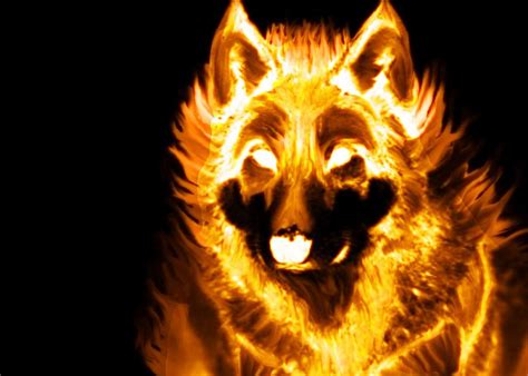 Pics Of Wolves Made Out Of Fire The Fire That Is My Life Anime Wolf Fotos De Lobos Lobo Arte