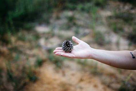 Free Images Hand Nature Grass Bird Flower Wildlife Leg Green