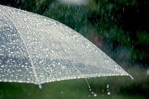 Premium Photo Umbrella In The Rain