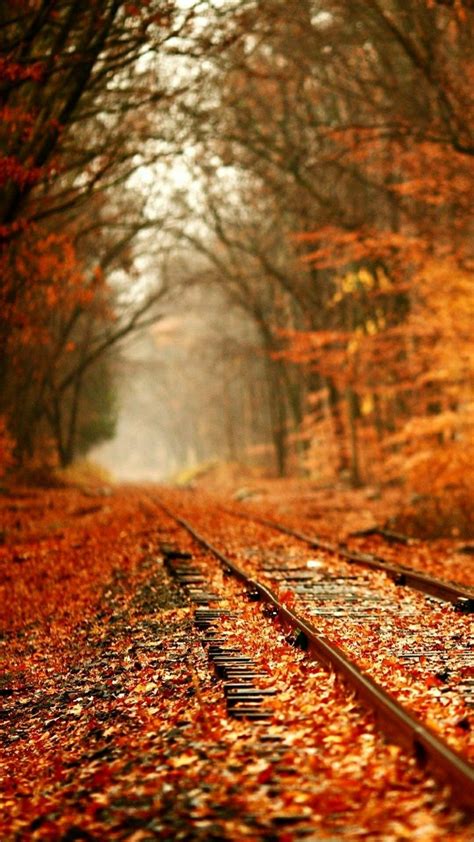 Train Tracks In Autumn Fall Wallpaper Tumblr Fall Wallpaper Iphone