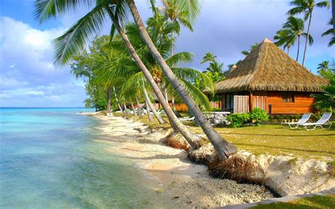 Nature Landscape Tropical Beach Sea Island Palm Trees Bungalow
