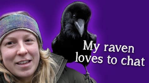 fable the raven did you know ravens can talk youtube