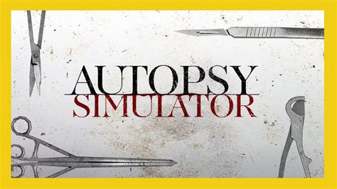 Notifalopa Como Hacer Una Autopsia En 👨‍⚕️ Autopsy Simulator