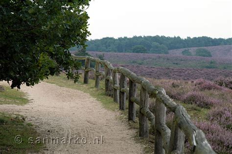 Accept payments in store, online and virtually anywhere with bank of america merchant services. Het wandelpad langs de heide van de Posbank naar het ...