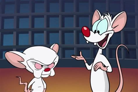 It makes me think he's only comfortable showing high levels of affection to things he knows are inanimate. What Pinky & the Brain can teach us about Data Management ...