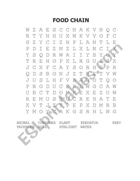 English Worksheets Food Chain Word Search