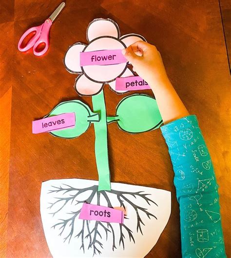 Plant Puzzle Lessons For Little Ones By Tina Oblock