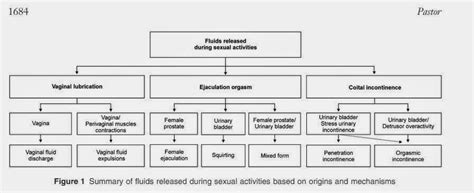 Being sexually fluid is different than being bisexual or pansexual. SSL: Fluid Expulsion During Female Sexual Activiy - A Journal Article I Read