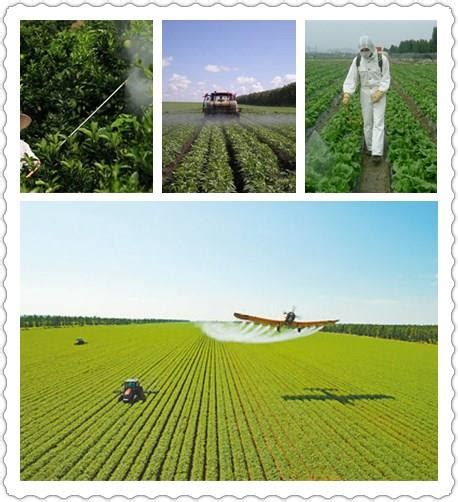 Foliar Nutrition And Fertilizer Fertilizer Knowledge Shandong