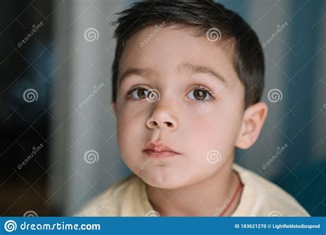 Portrait Of Pensive Adorable Brunette Boy Stock Photo Image Of