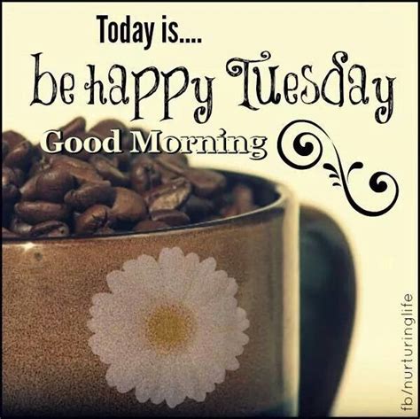 Good Morning Tuesday Images Tuesday Quotes Good Morning Good Morning