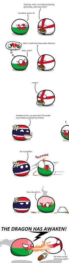 500 Polandball Ideas Country Humor Country Jokes Country Memes