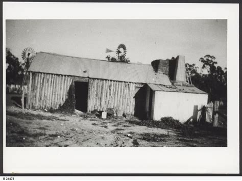 Bookpurnon Station Loxton Photograph State Library Of South Australia