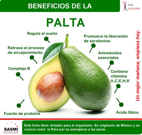 BENEFICIOS DE LA PALTA Frutas Y Verduras Beneficios Beneficios De