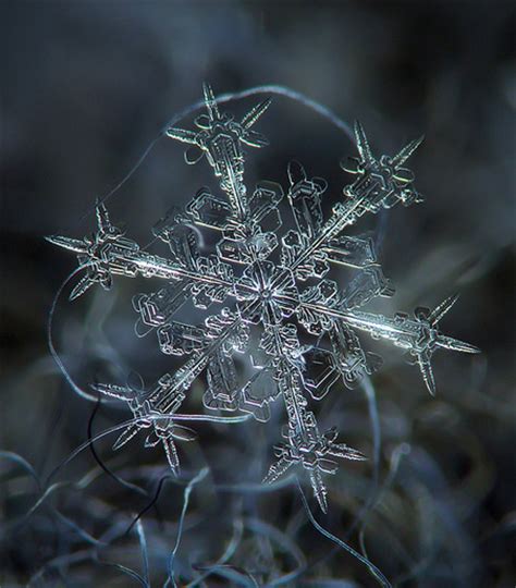Stunning Snowflakes Photographs
