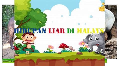Walau khawatir dengan bertambahnya kasus baru, warga malaysia pun khawatir pemberlakuan lockdown yang berlangsung selama dua. BAB 5: HIDUPAN LIAR DI MALAYSIA - YouTube