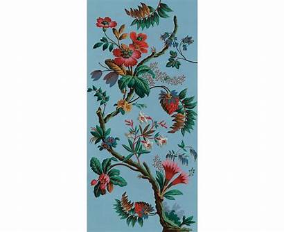 Fancy Flowers Decorative 1799 Wallpapers