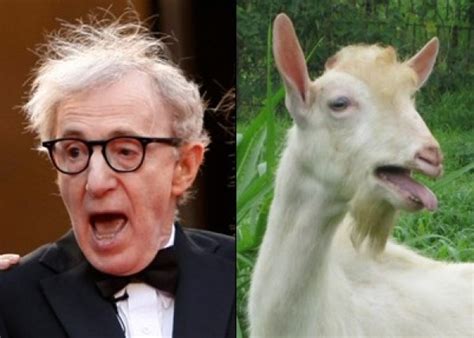 10 Celebrities Who Look Like Animals