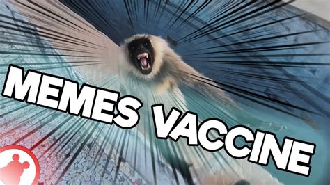 The good news prompted an avalanche of memes, celebrating the vaccine. MEMES VACCINE! Memes That Cure Depression Reaction - YouTube