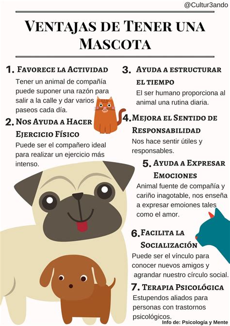 Ventajas de Tener una Mascotas Infografía Mascotas Consejos para mascotas Mascotas cuidados