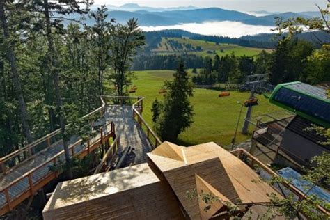 Tickets, tours, hours, address, wieza widokowa reviews: Wieża widokowa i ścieżka w koronach drzew - nowa atrakcja ...