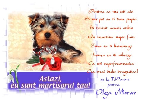 Martisoare haioase sau elegante pe toate gusturile. Cutiuta cu iluzii: Martisorul meu...