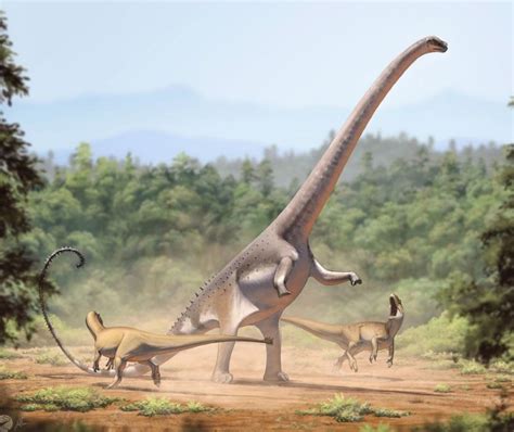The Top 10 Largest Dinosaurs Ever To Have Lived