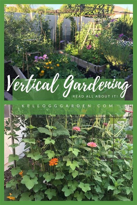 Vertical Gardening Adds Another Dimension To Your Garden Reasons To