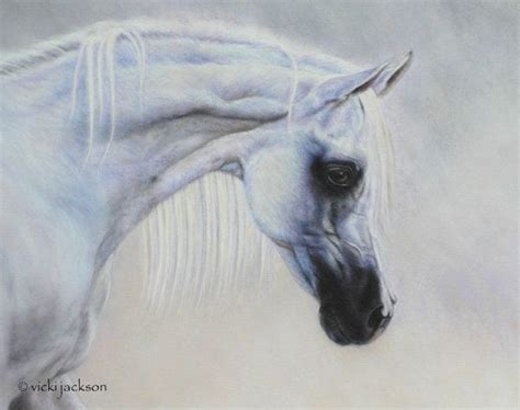 Vicki Jackson Pastel Arabian Horse Art Horse Art Horses And Dogs