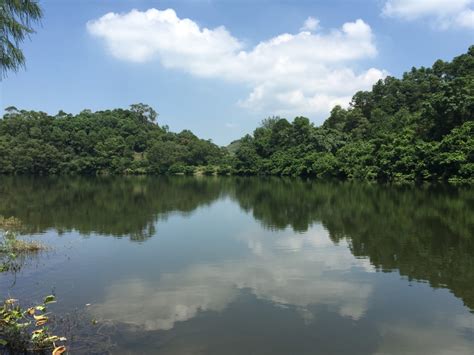 大潭水塘（北）（tai tam reservoir (north)）及大潭水塘（南）（tai tam reservoir (south)）巴士站，位於南區大潭大潭道大潭篤水塘水壩頂部行車道南北兩端，分別為南北行雙向及北行單向路邊中途站。 粉嶺流水響 | 香港遊車河