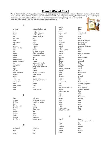 Latin Root Word List