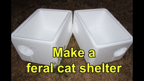 Make An Extra Large Feral Cat Shelter From Styrofoam Coolers Racerlt
