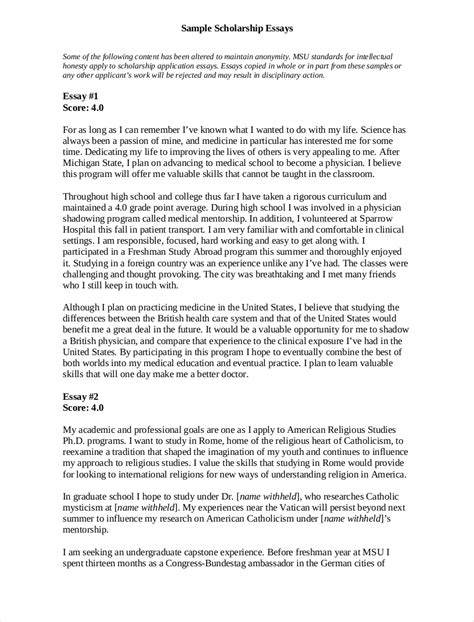 FREE Scholarship Essay Examples In PDF Examples How To Write An Essay For A Scholarship