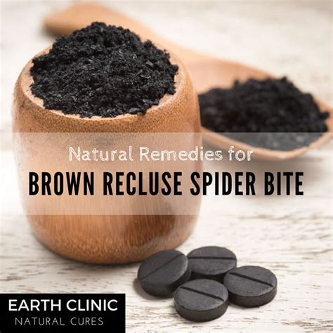 Natural Remedies For A Brown Recluse Spider Bite