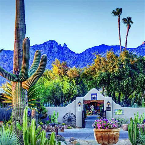 The 14 Best Boutique Hotels In Tucson Boutiquehotelme