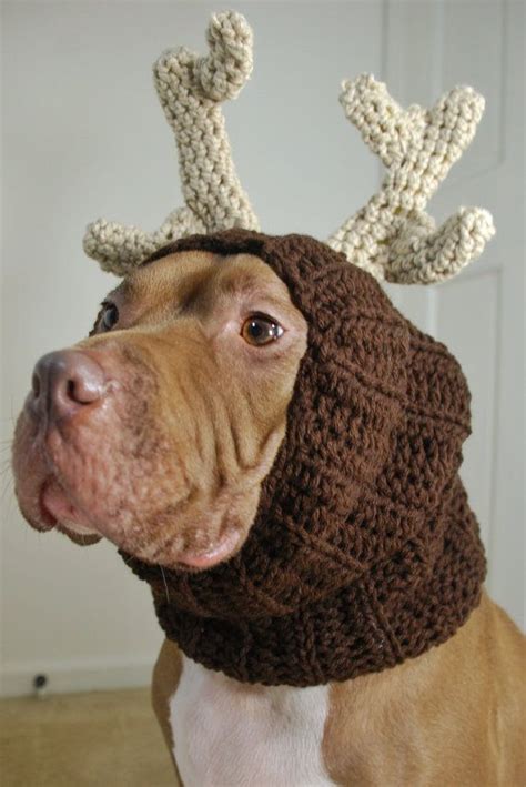 Reindeer Crochet Snood Medium Dog Snood Snood Dog Park