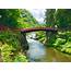Nikko Private Tour From Tokyo  Day Trips Japan Travel Shop