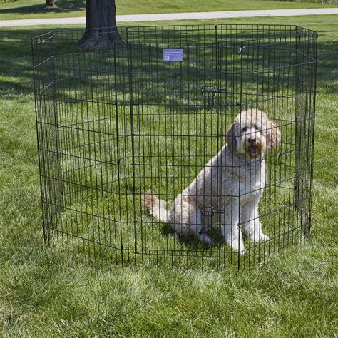 Cheap Dog Fence The Best Affordable Fencing For Dogs