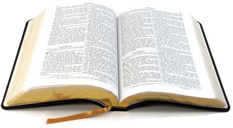 Bible - Open Bible Images Png Clipart - Large Size Png Image - PikPng png image