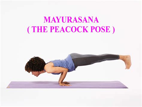 Mayurasana How To Do It Benefits Learn This Amazing Pose