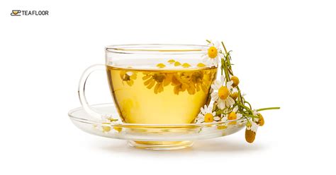 How to buy and use. Does Chamomile Tea Help You Sleep?