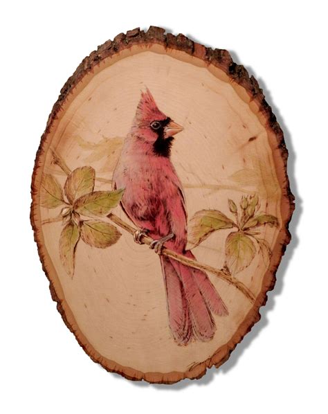Wood Burning With Wash Cardinal By Dennis Franzen Wood Art Projects