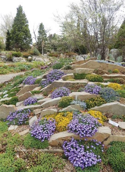 Public Rock Gardens Across Colorado Article North American Rock