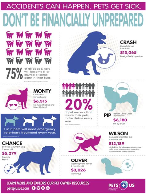 The best pet insurance in 2020 | Best pet insurance, Pets ...