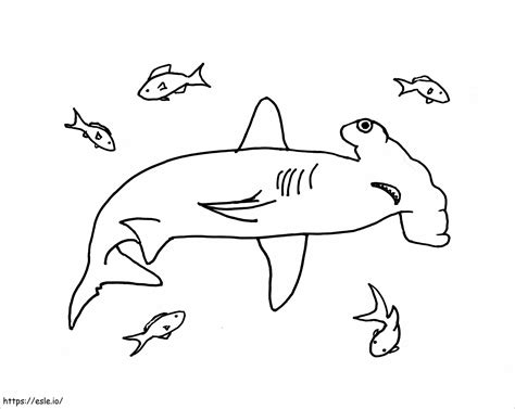 Hammerhead Shark With Scaled Fish Coloring Page