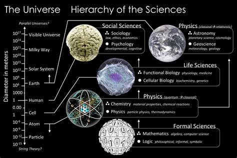 Branches Of Science Wikipedia