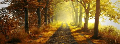 Everything looks polished and professional. Fall / Autumn Archives - Page 2 of 2 - Free Facebook ...