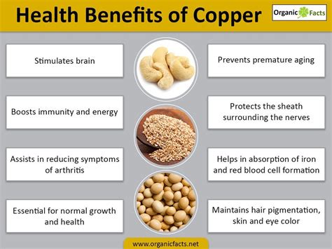 Health Benefits Of Copper