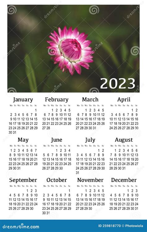 Botanical Calendar For 2023 Stock Illustration Illustration Of Diary